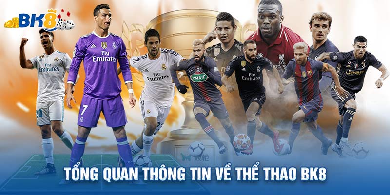 Tổng quan thông tin về thể thao BK8